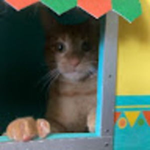 Meet your Posher, Killian